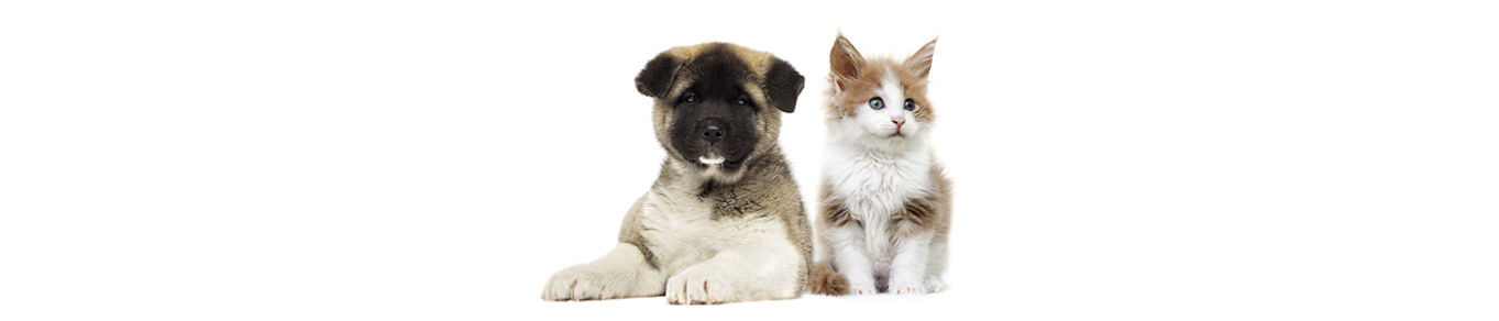 Product pets banner image