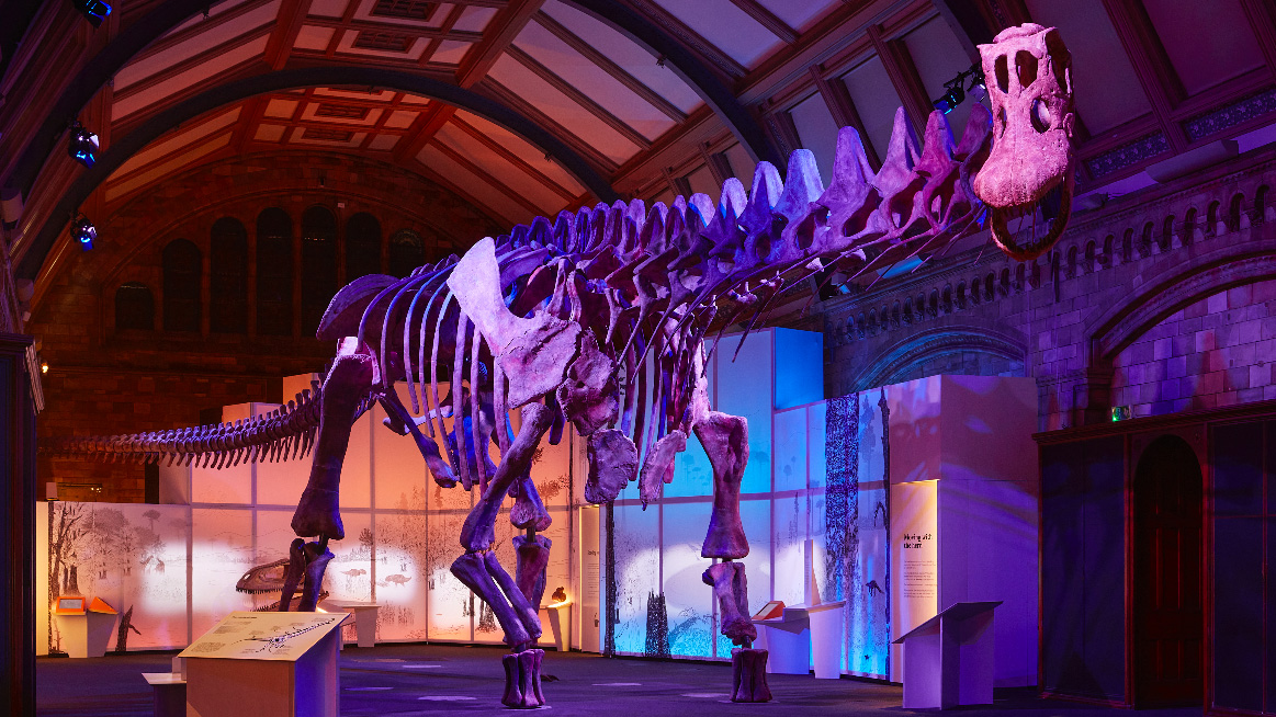 Titanosaur