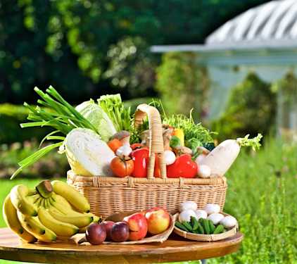 創造旅遊業榮景 秧悦美地辦ESG研習 邁向永續經營