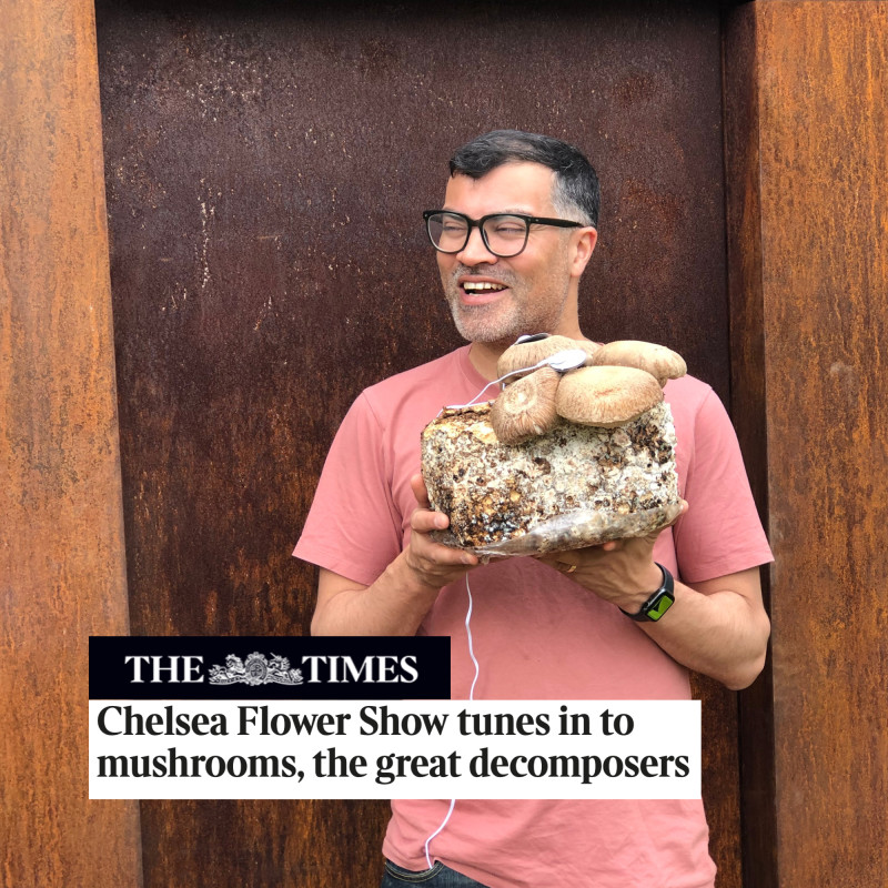 the times chelsea flower show mushroom music