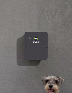 vecgo-card-grey
