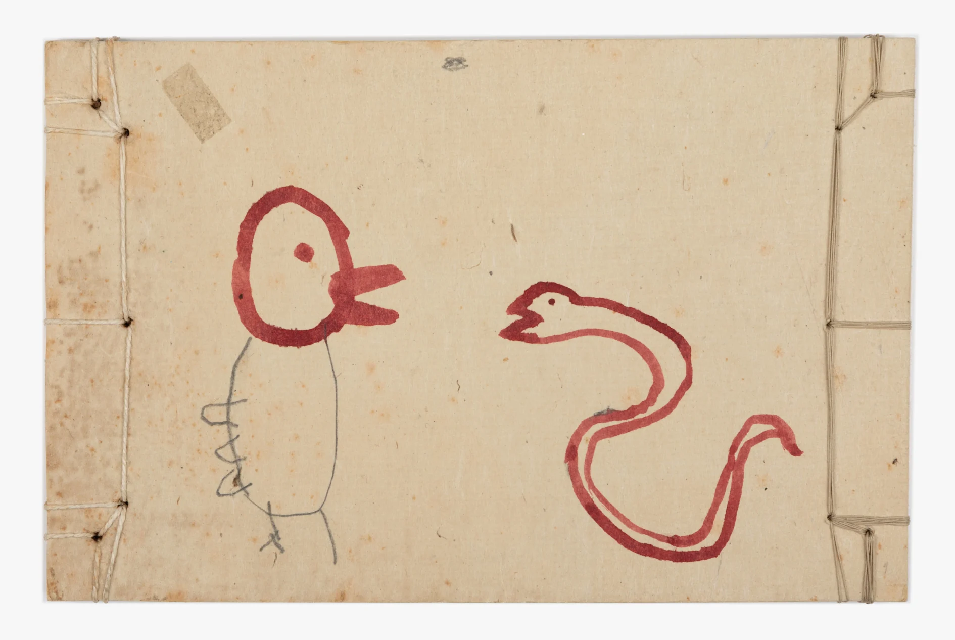 "bird & snake"