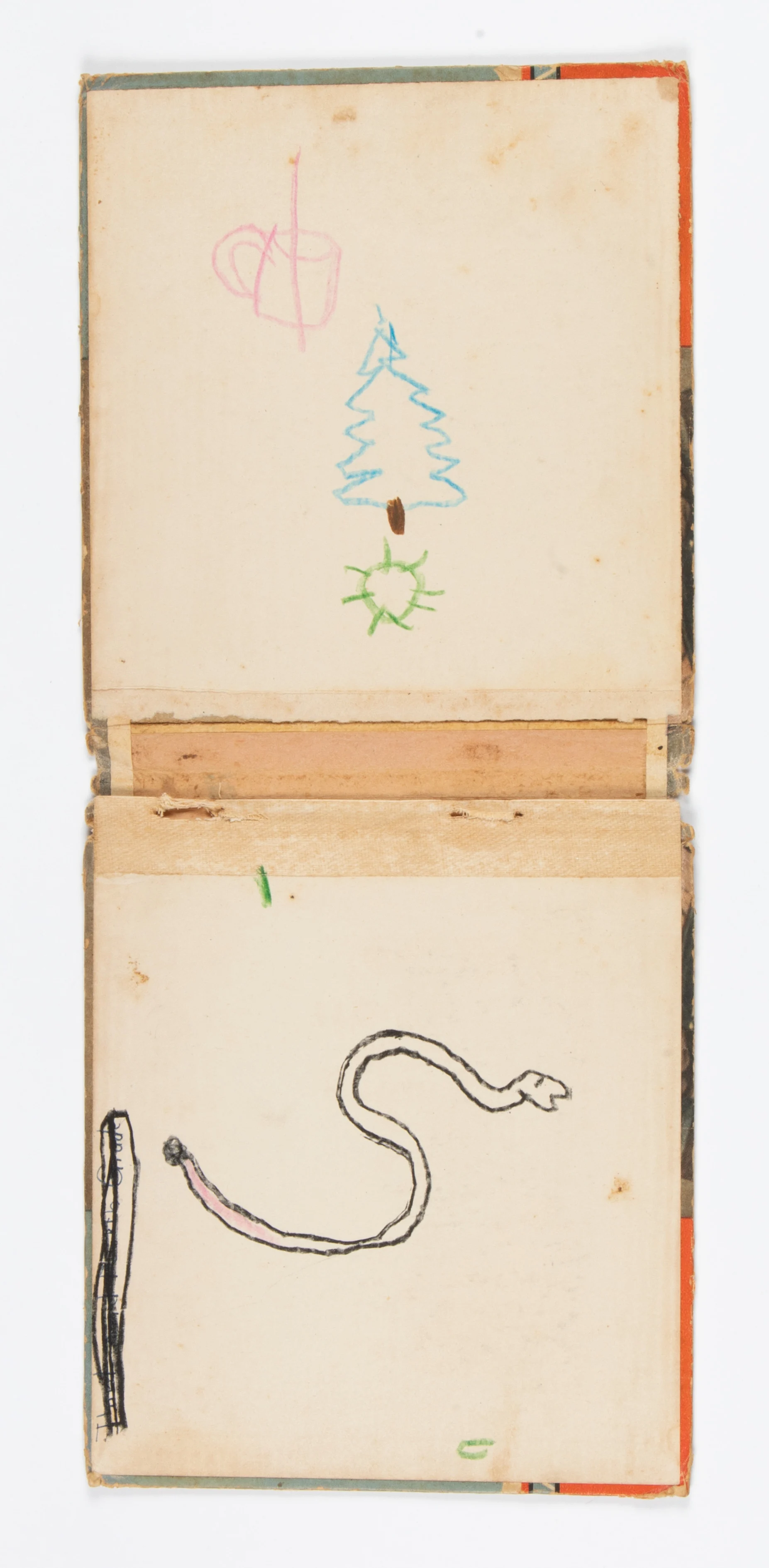 coffee, tree, green sun & snake