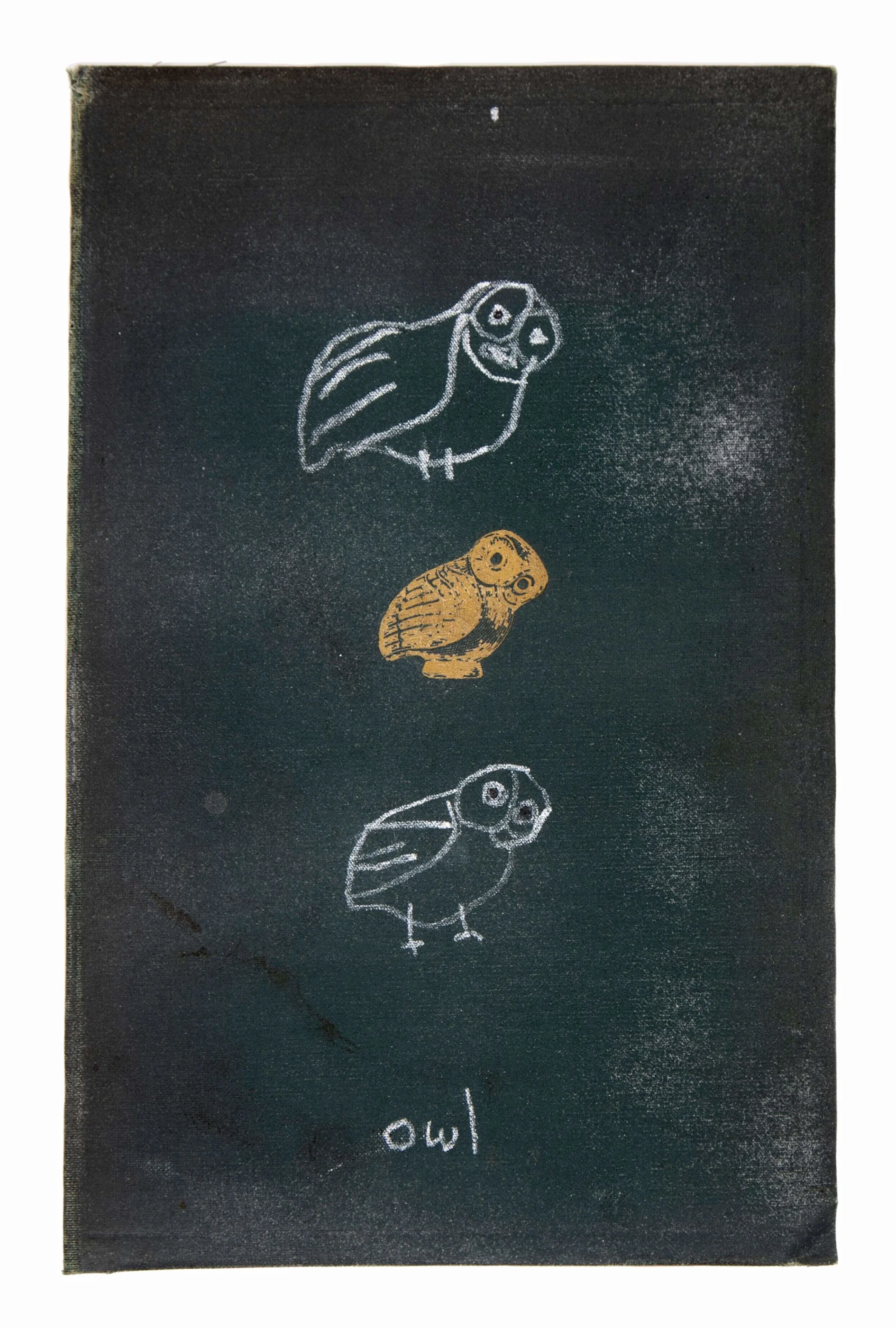 owl