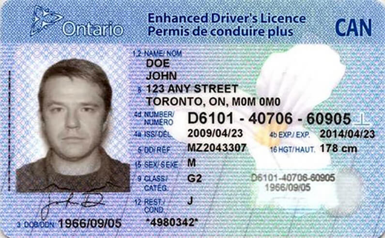 ontario drivers licence sample