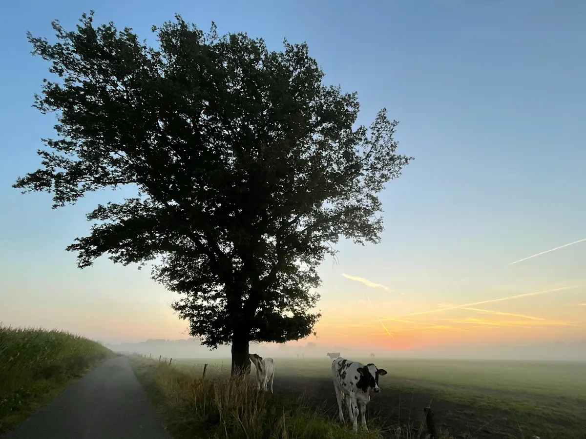 Wat te doen in Lochem in de zomer