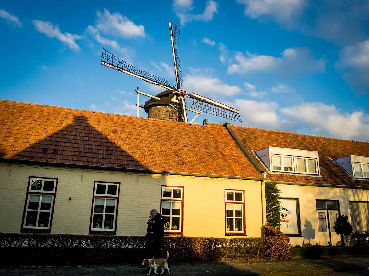 Wat te doen in Someren in de winter