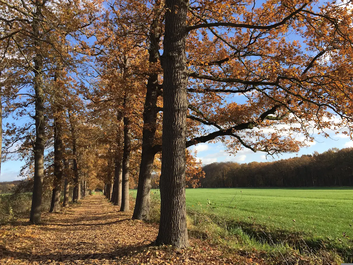 Wat te doen in Leersum in de herfst?