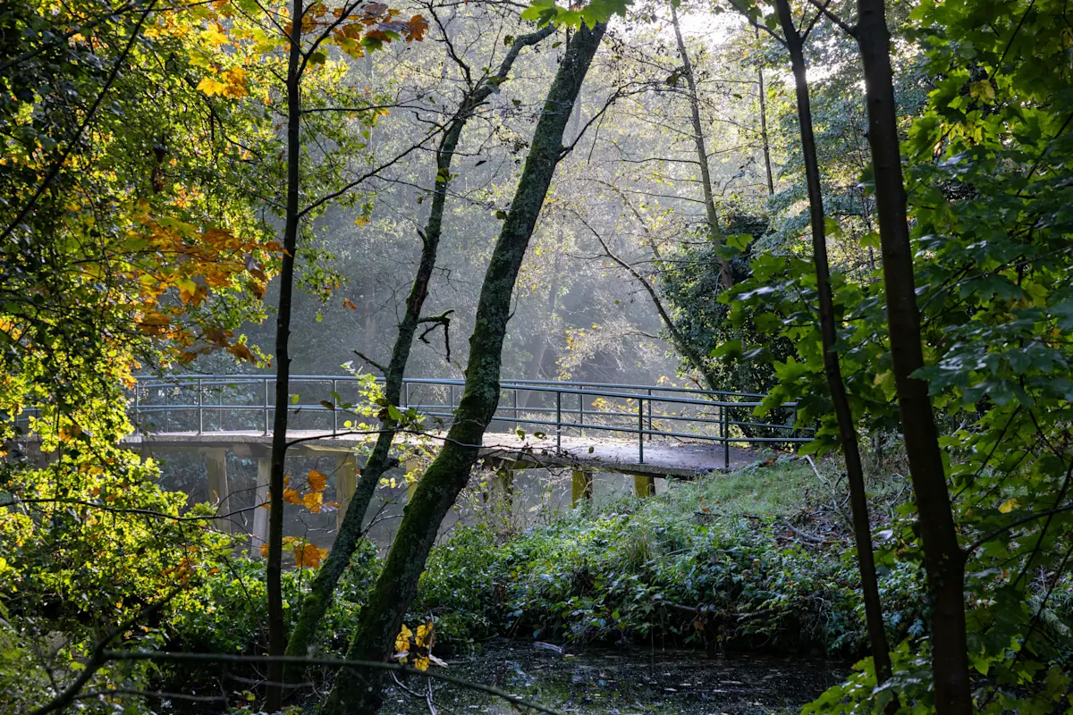 Wat te doen in Den Haag in de herfst