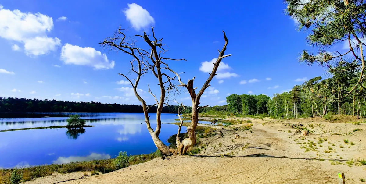 Wat te doen in Oisterwijk in de zomer