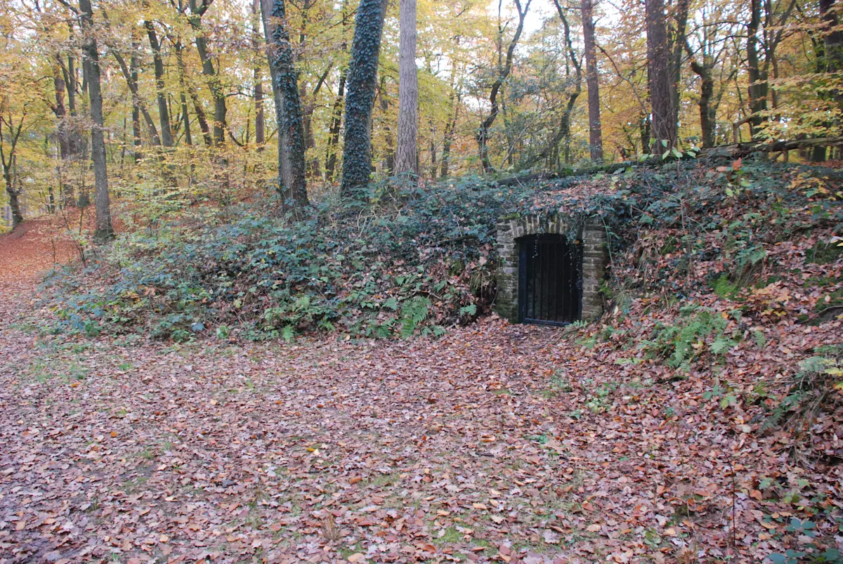 Wat te doen in Arcen in de herfst?