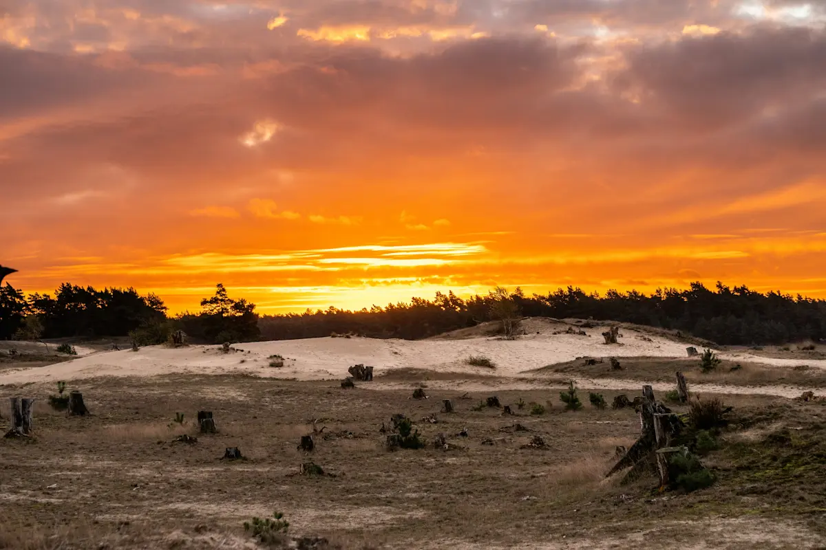 Wat te doen in Otterlo in de herfst