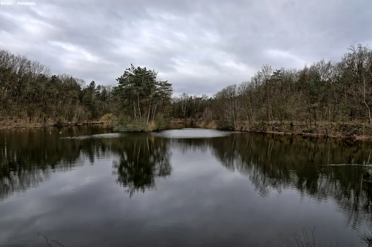 Wat te doen in Maasbree in de winter