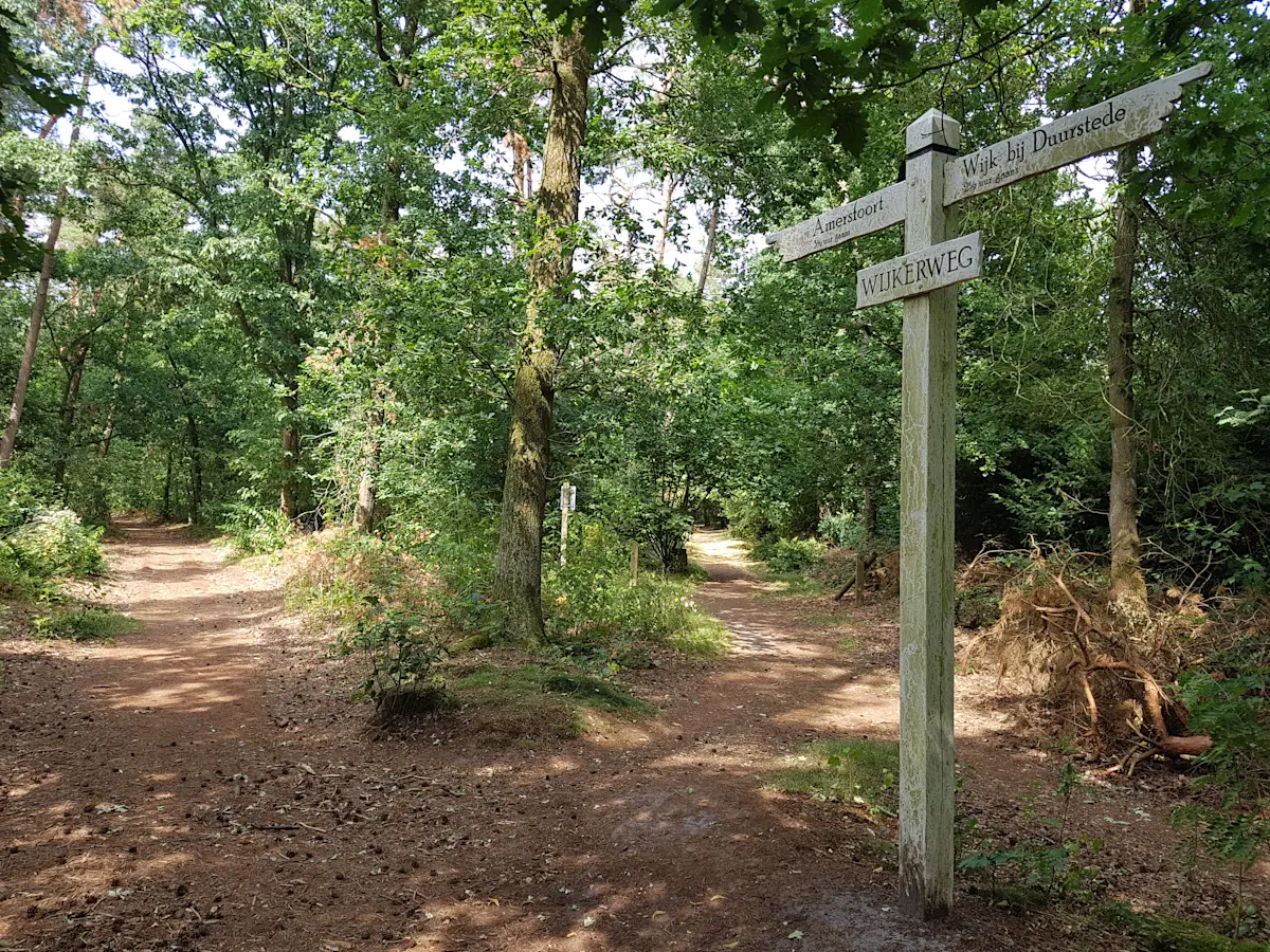 Wat te doen in Maarn in de zomer?