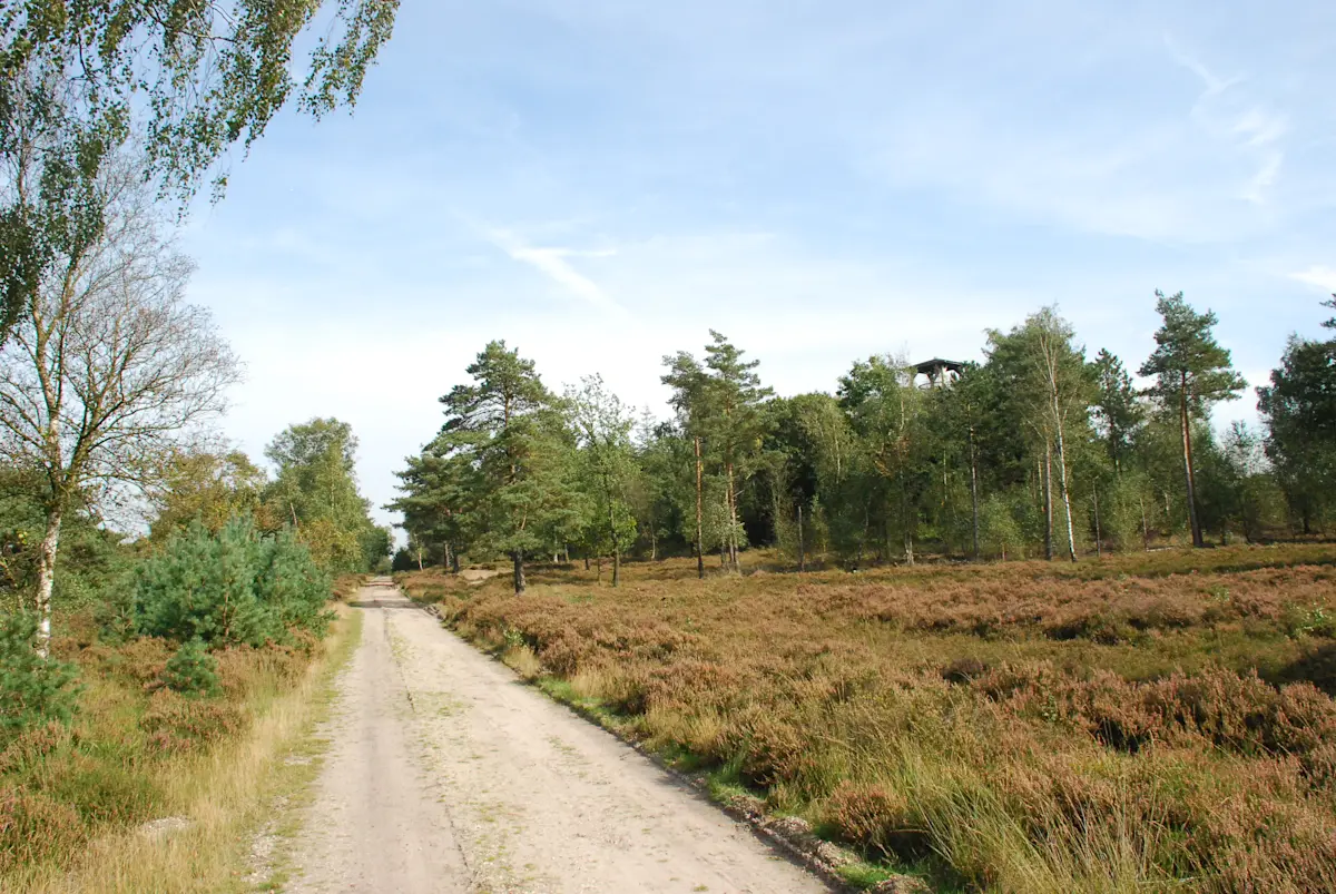 Wat te doen in Epe in de herfst