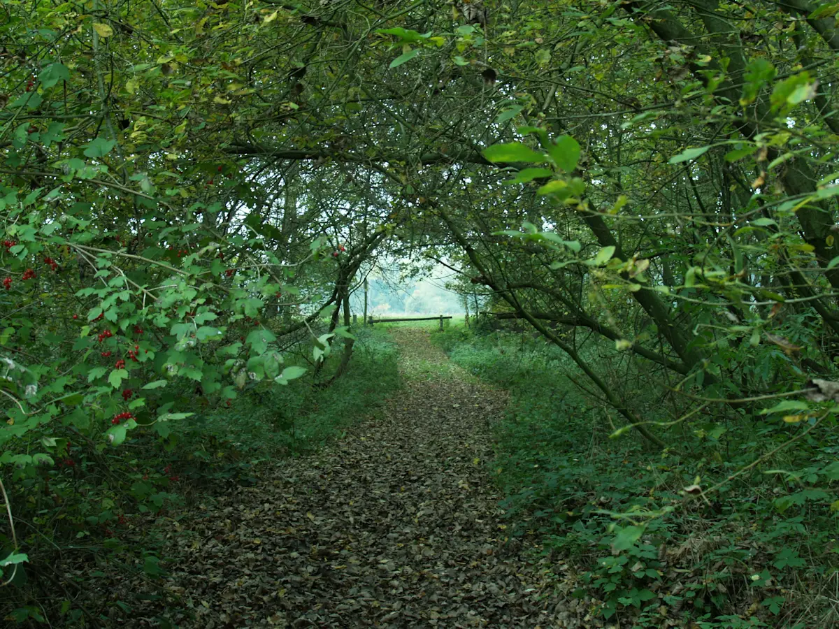 Wat te doen in Maasbree in de zomer