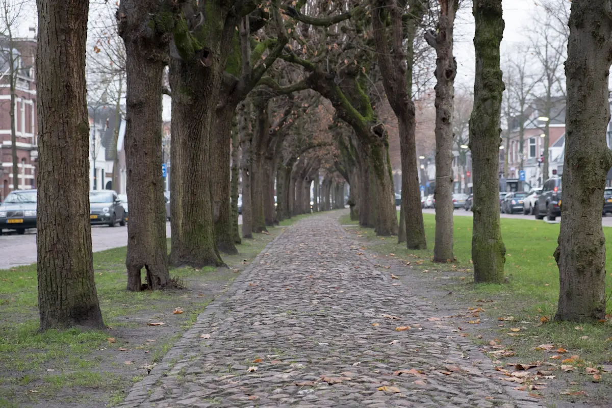 Wat te doen in Oisterwijk in de winter