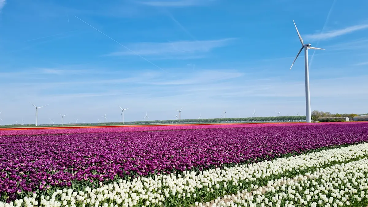 Wat te doen in Flevoland in de lente