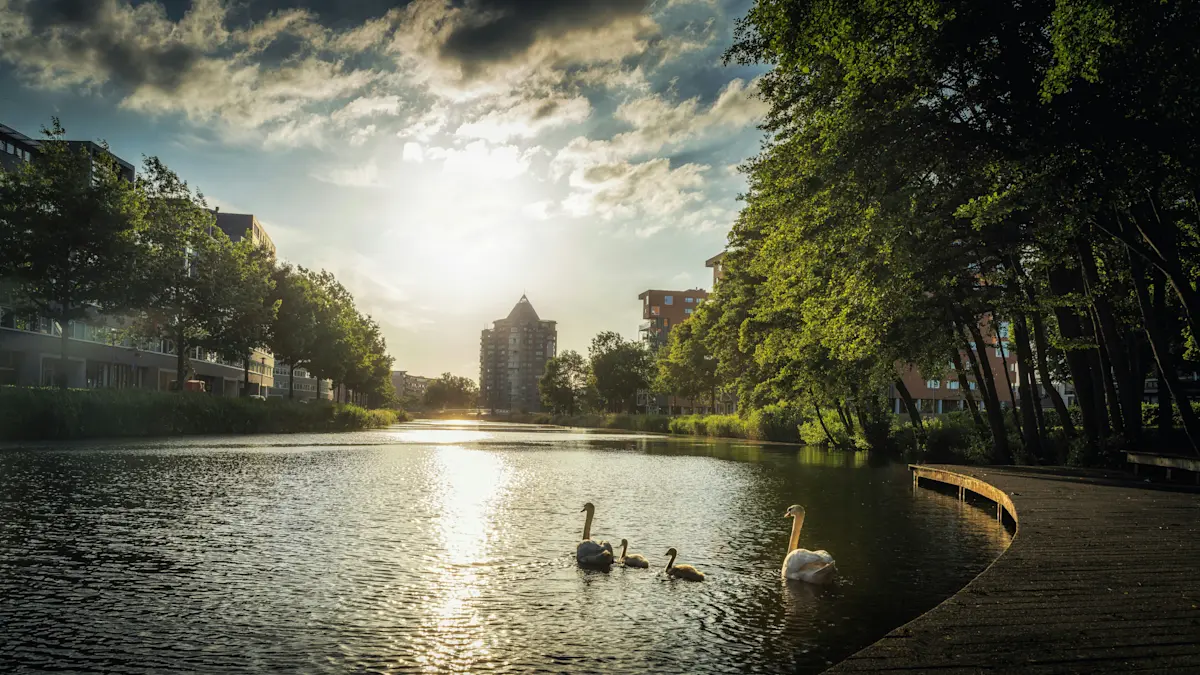 Wat te doen in Arnhem in de zomer