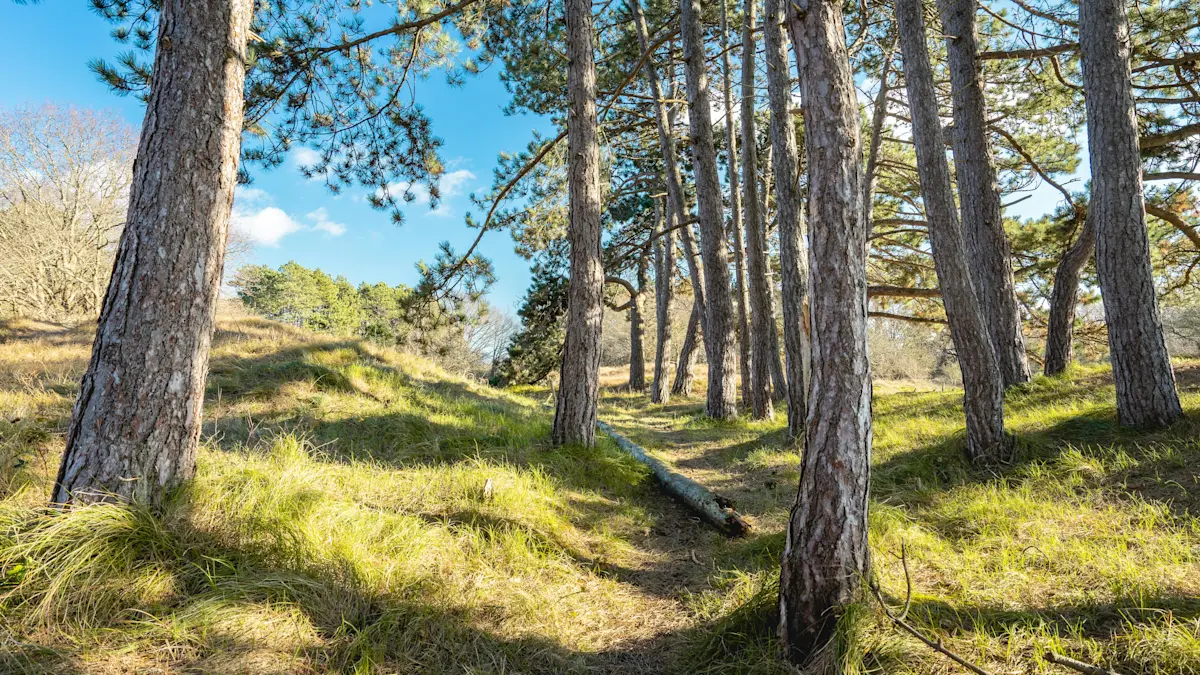 Wat te doen in Den Haag in de lente