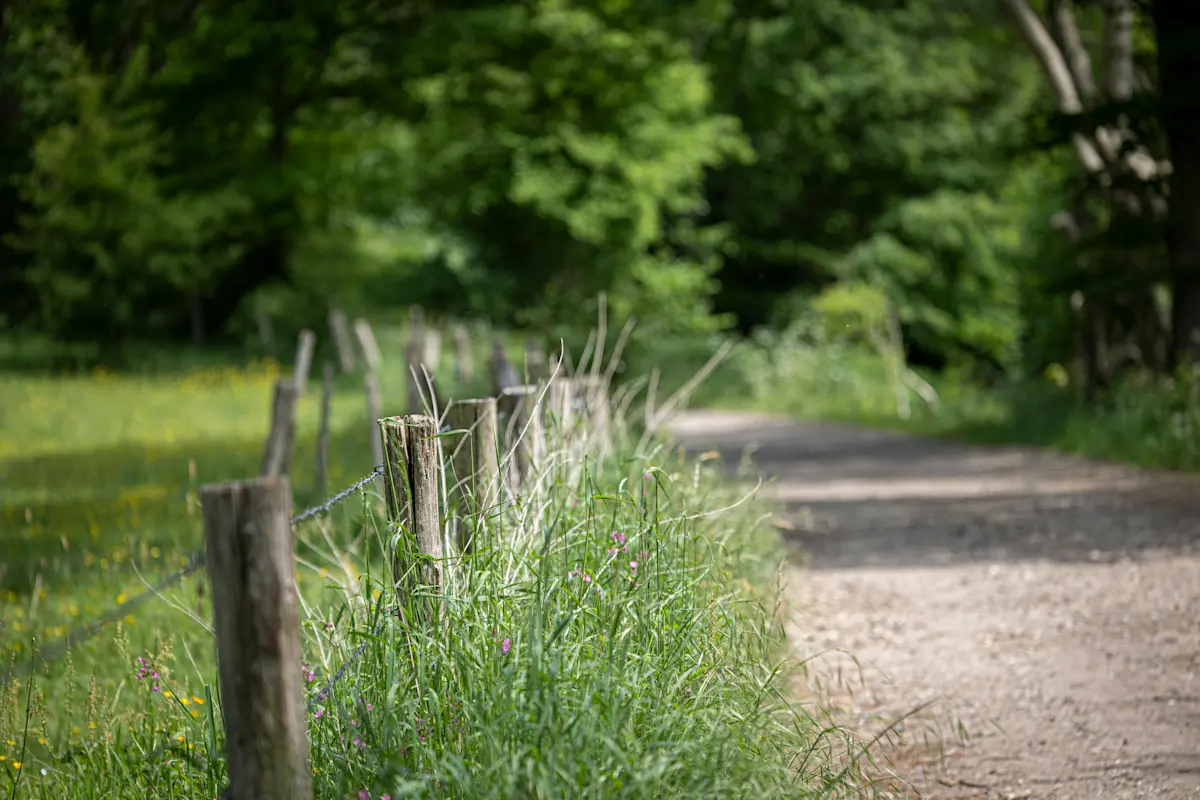 Wat te doen in Simpelveld in de zomer