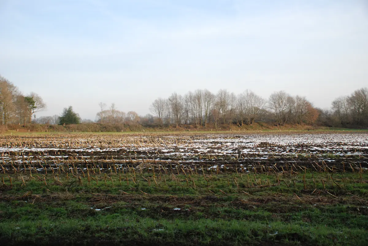 Wat te doen in Putten in de herfst