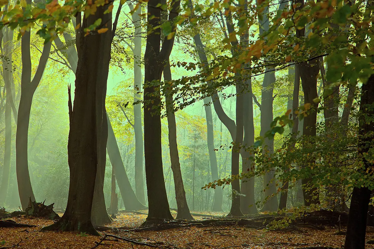 Wat te doen in Lochem in de herfst