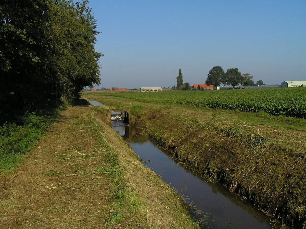 Wat te doen in Maasbree in de herfst
