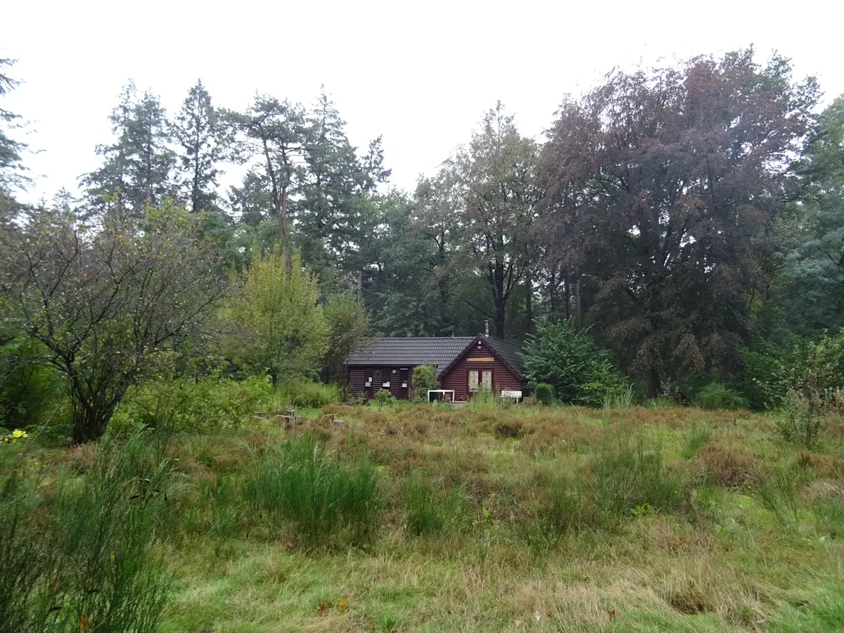 Wat te doen in Nunspeet in de herfst