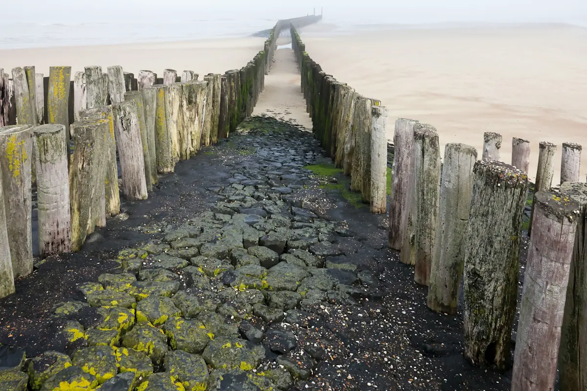 Wat te doen in Nieuwvliet in de lente