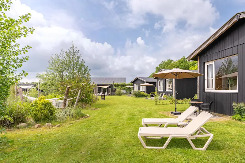 Park photo