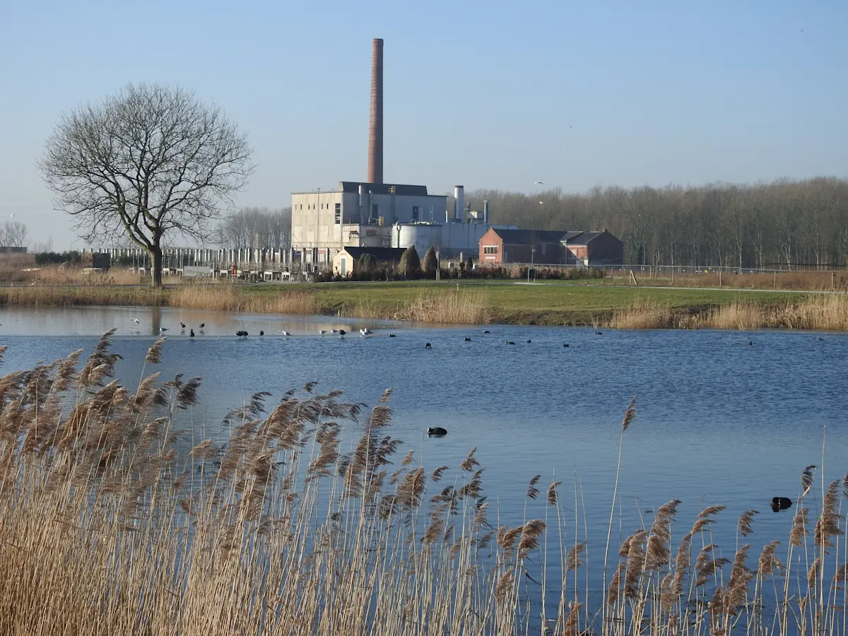 Wat te doen in Appingedam in de winter