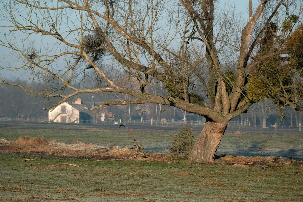 Wat te doen in Burgh Haamstede in de herfst