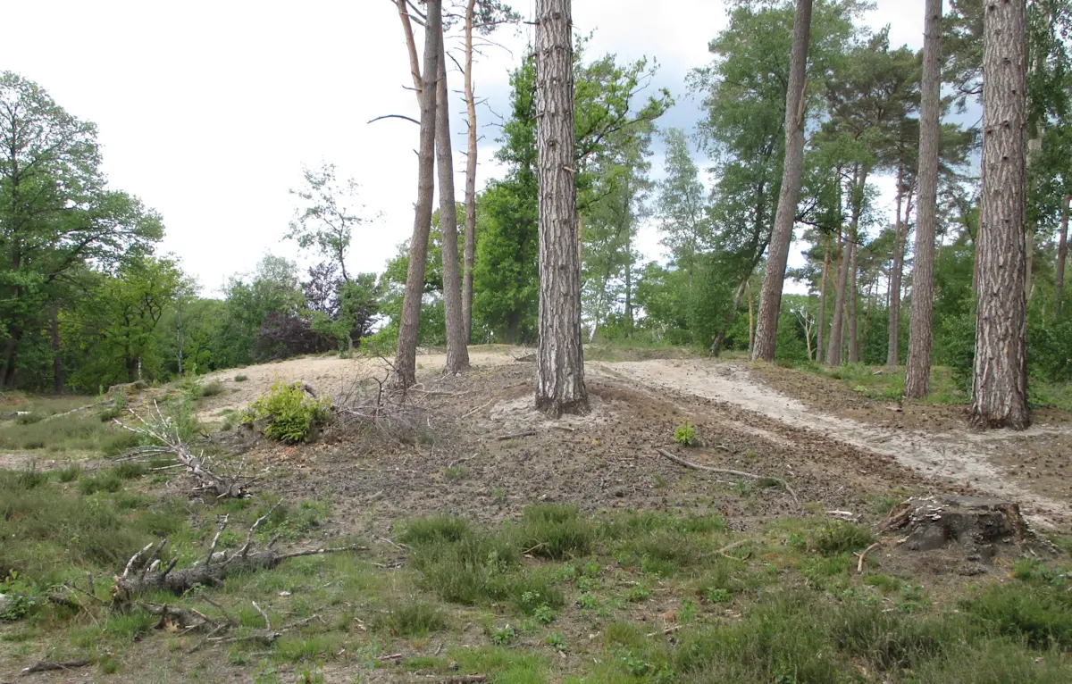 Wat te doen in Maarn in de lente?