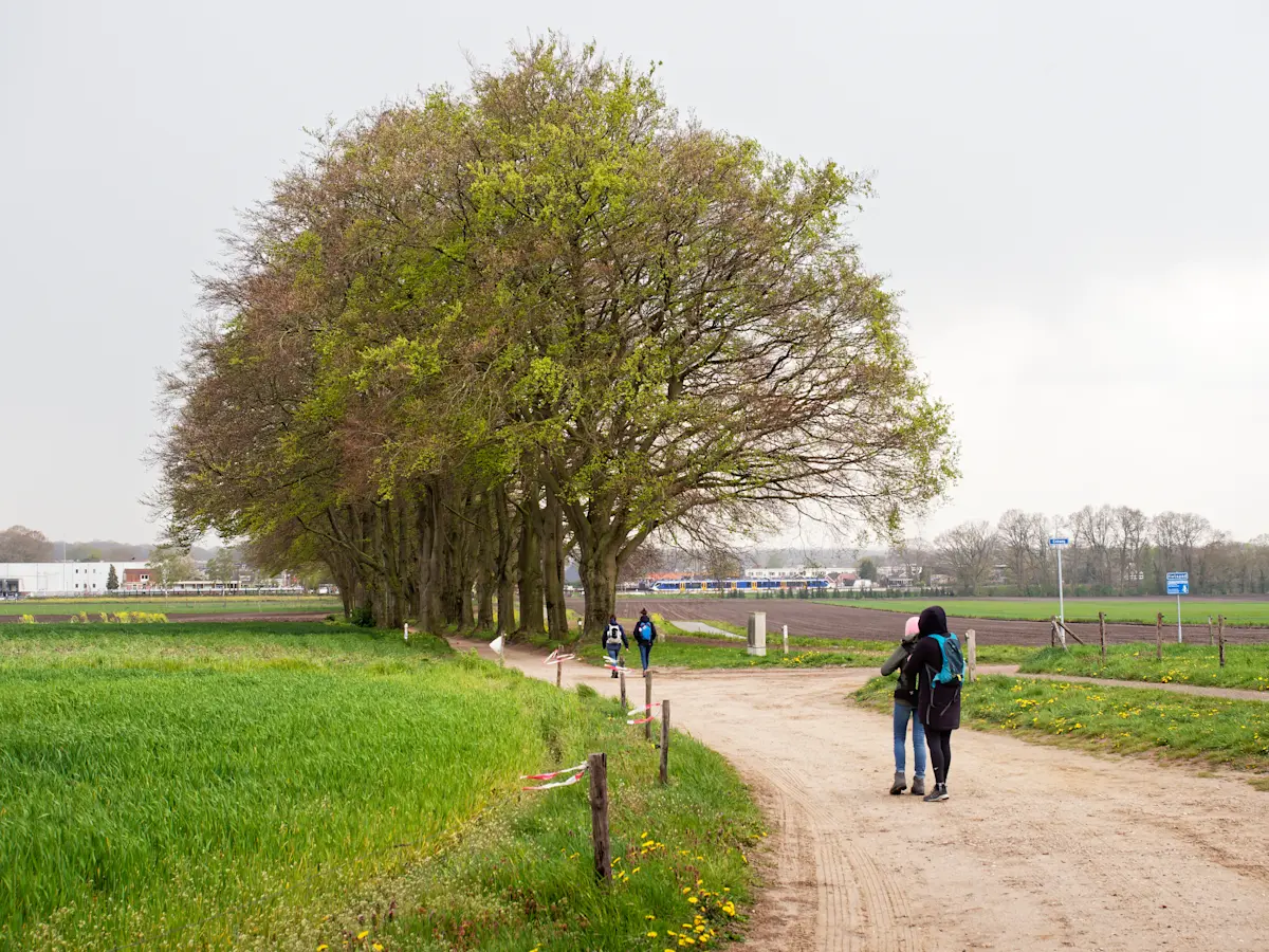 Wat te doen in Holten in de lente
