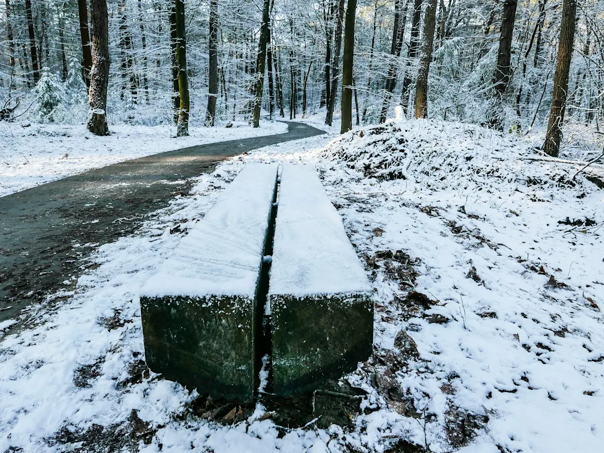 Wat te doen in Appelscha in de winter