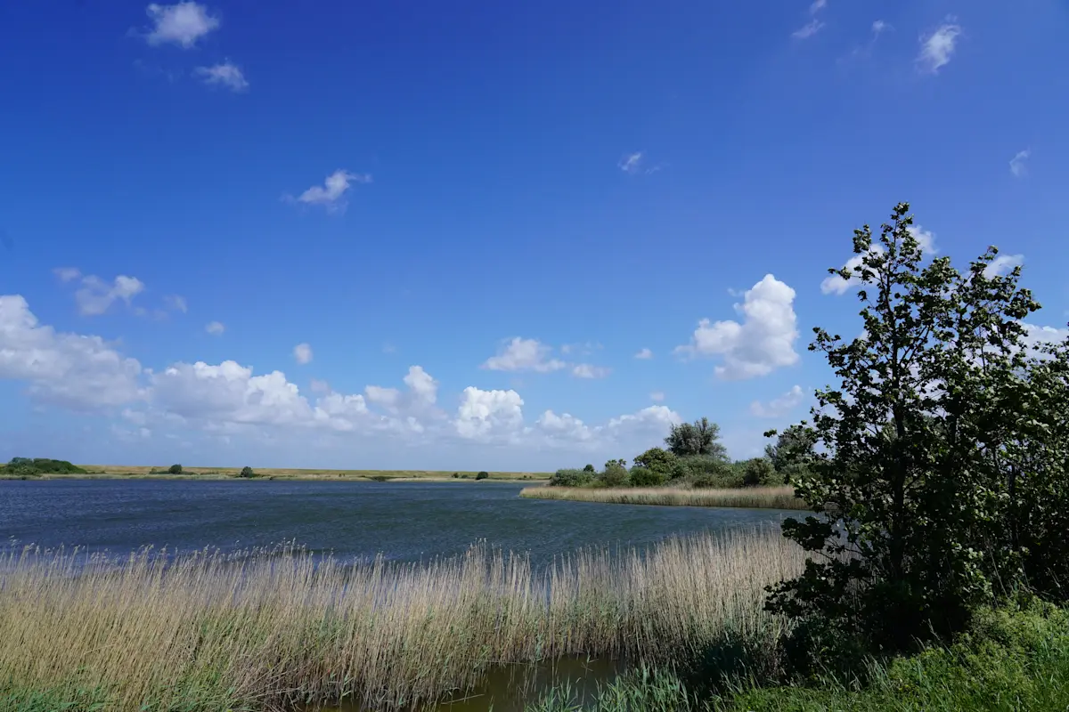 Wat te doen in Bruinisse in de lente