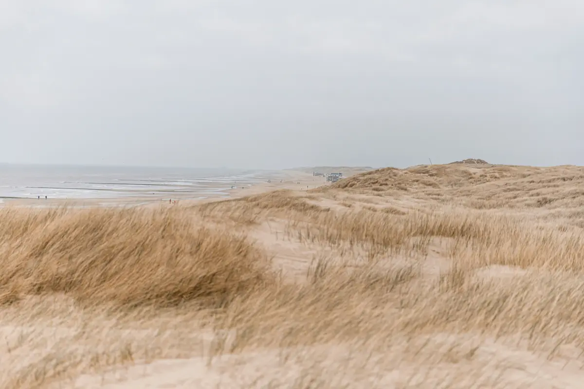 Wat te doen in Callantsoog in de winter