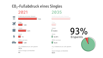 CO2 Fußabdruck Single
