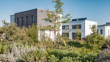 Neubau