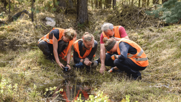 Gruppe von Menschen untersucht Waldboden