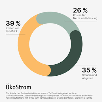 ÖkoStrom Ringgrafik