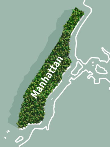 Illustration von Manhattan mit Regenwald