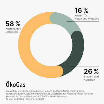 ÖkoGas Ringgrafik
