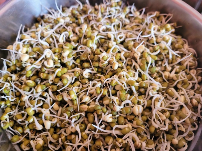 recipes-with-mung-bean-sprouts