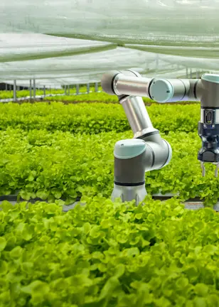 Innovation remains the engine of growth