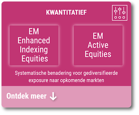 Opkomende markten - Kwantitatief beleggen