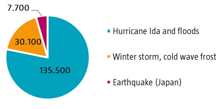 Grafik 1  |  Gesamtschäden der größten fünf Naturkatastrophen im Jahr 2021 (Mio. USD)