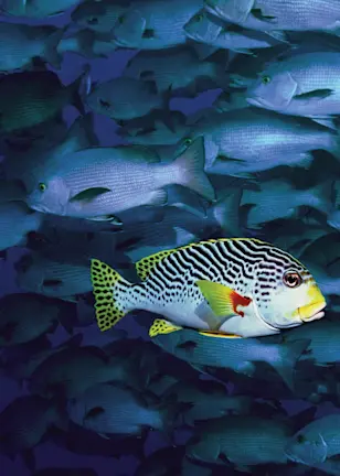 Global Credits - Short Maturity