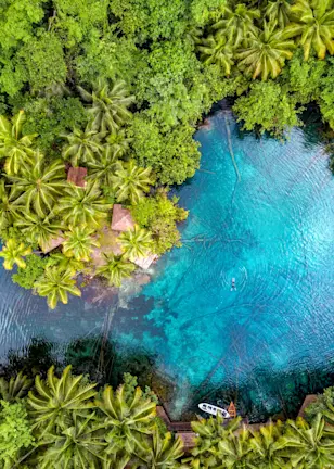 Deforestation and human rights lead Q1 Active Ownership report